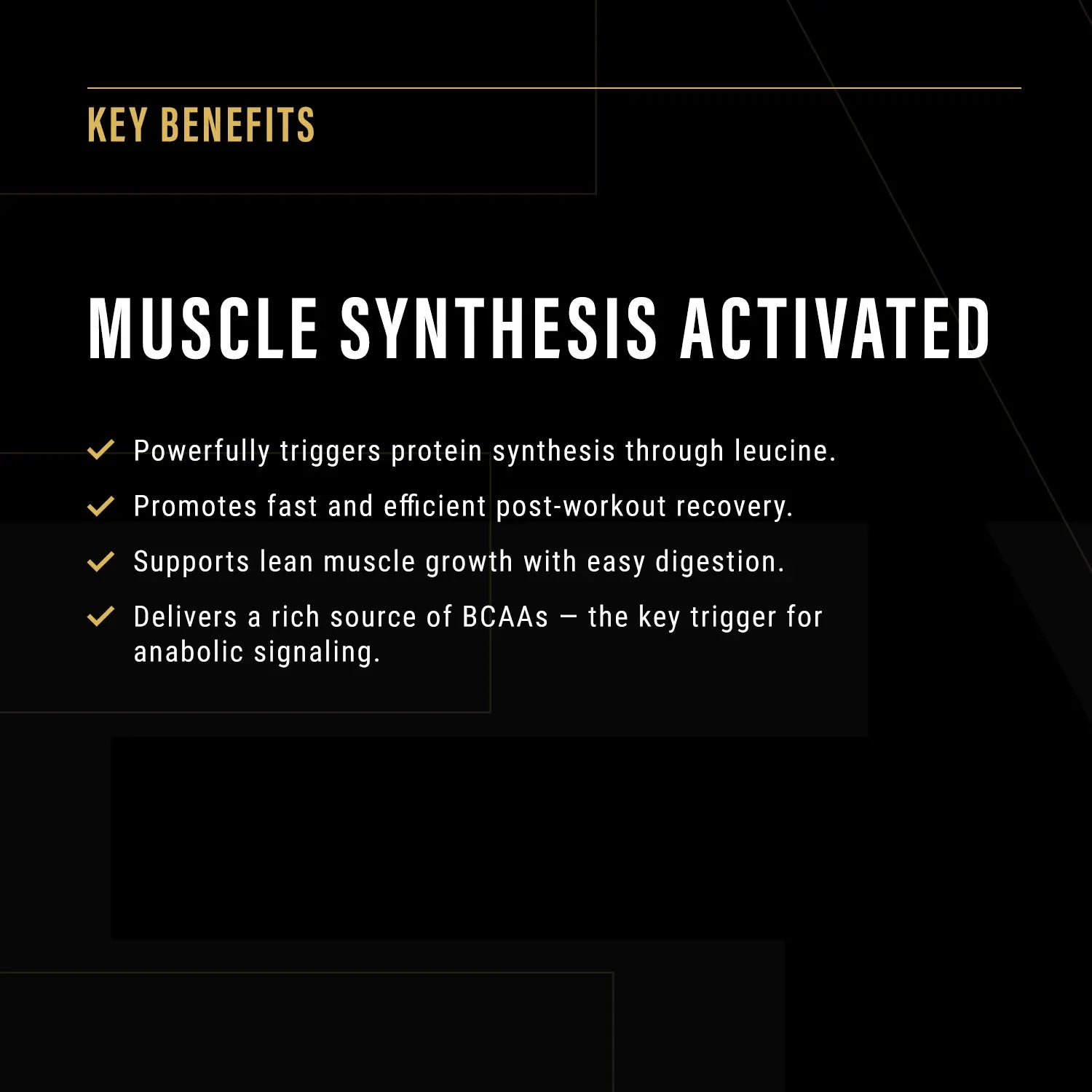 Anabolic Protein Eternal Warrior Supplements