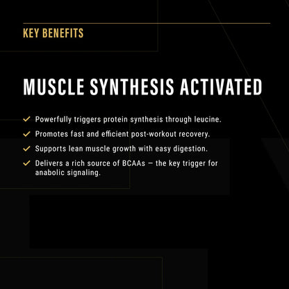 Anabolic Protein Eternal Warrior Supplements