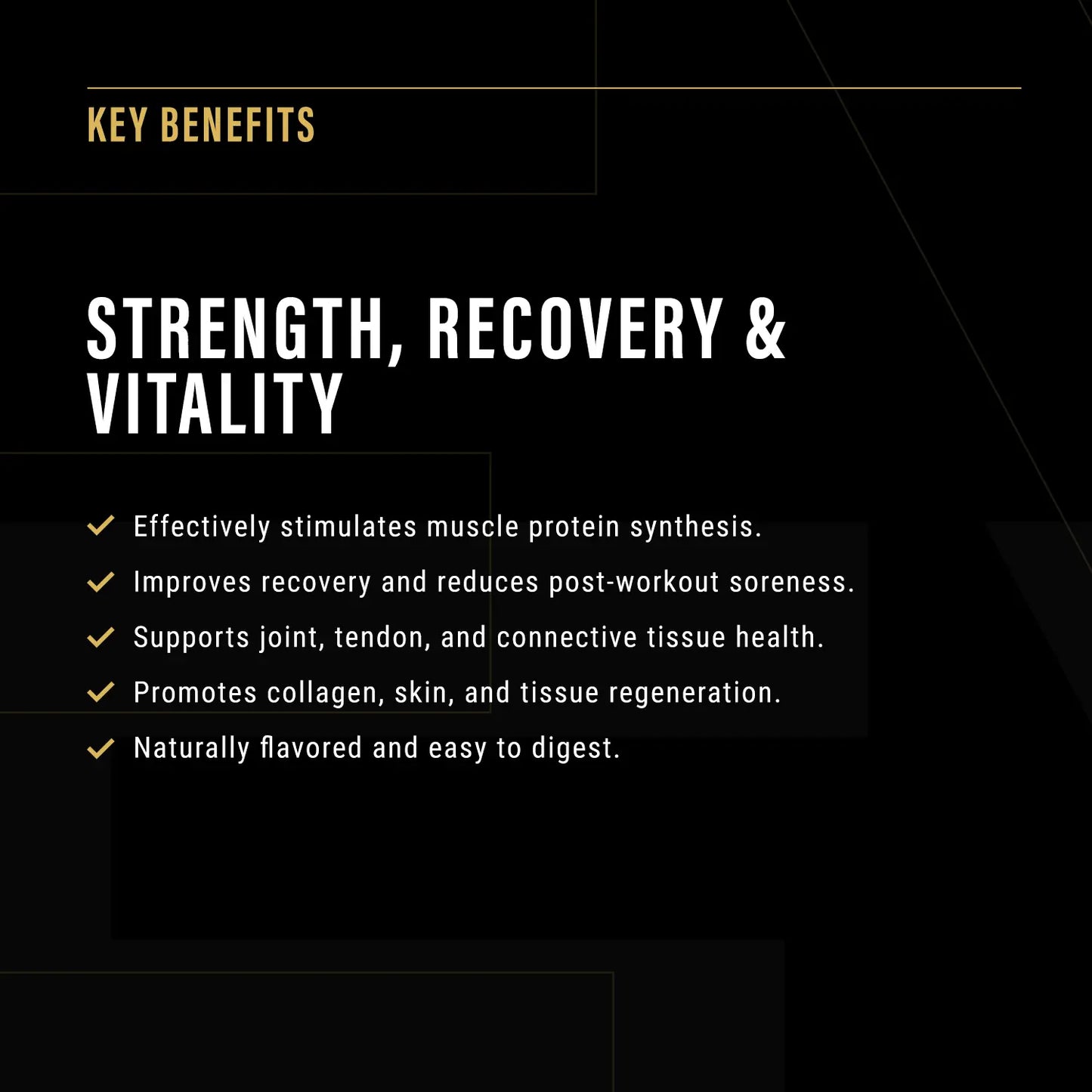 Eternal Protein Eternal Warrior Supplements