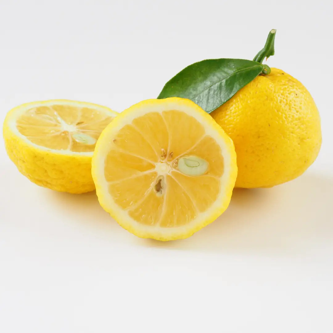 Yuzu Bath Bomb Beauty Secrets of Japan